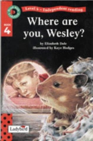 Tapa de Where Are You Wesley?