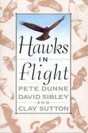 Tapa de Hawks in Flight