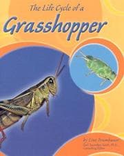 Tapa de The Life Cycle of a Grasshopper (Life Cycles)