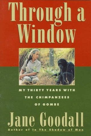 Tapa de Through a Window