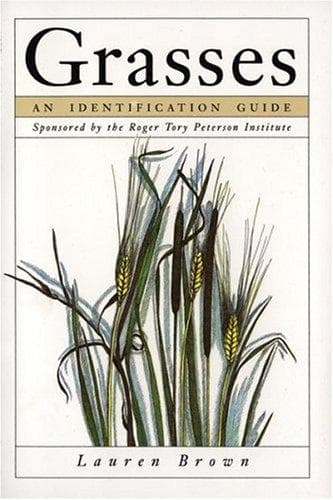 Tapa de Grasses, an identification guide