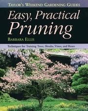 Tapa de Easy practical pruning