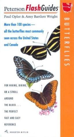 Tapa de Butterflies