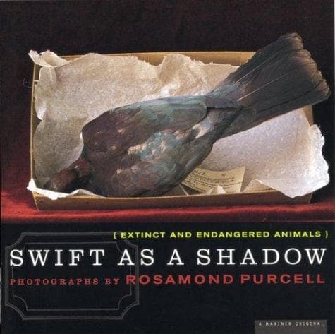 Tapa de Swift as a shadow