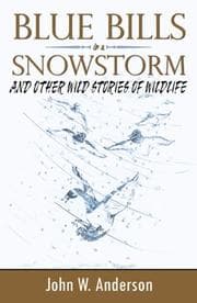 Tapa de Blue Bills in a Snowstorm and Other Wild Stories of Wildlife