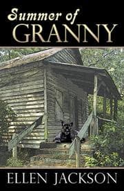 Tapa de Summer of granny