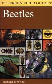 Tapa de Field Guide to the Beetles of North America