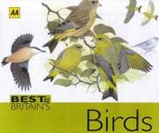 Tapa de Best of Britain's Birds (Best of Britain's)