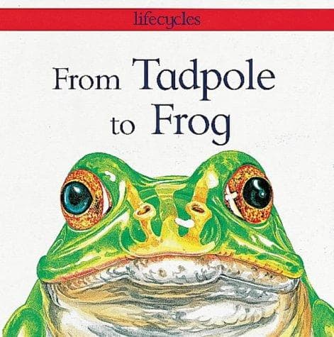 Tapa de From Tadpole to Frog (Lifecycles)