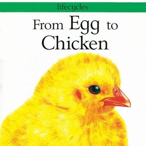 Tapa de From Egg to Chicken (Lifecycles)