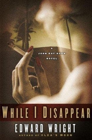 Tapa de While I disappear