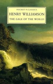 Tapa de The Gale of the World (Chronicle of Ancient Sunlight, Vol 15)