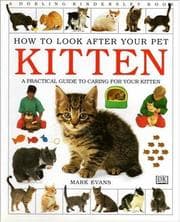 Tapa de Kitten (How to Look After Your Pet)
