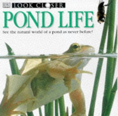Tapa de Pond (Look Closer)