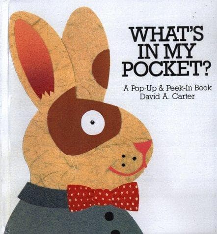 Tapa de What's in my pocket?