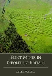 Tapa de Flint Mines in Neolithic Britain