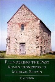 Tapa de Plundering the Past