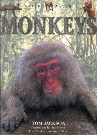 Tapa de Monkeys
