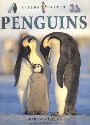 Tapa de Penguins