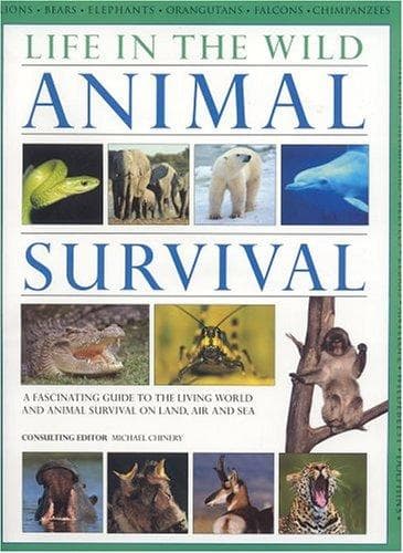 Tapa de Life in the Wild