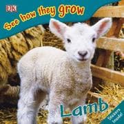 Tapa de Lamb