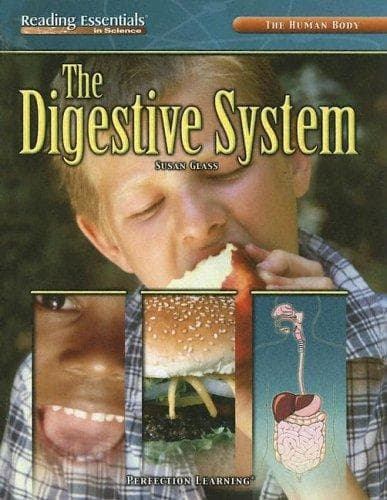 Tapa de Digestive System