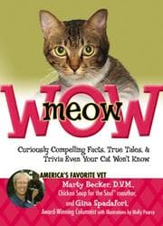 Tapa de MeowWow