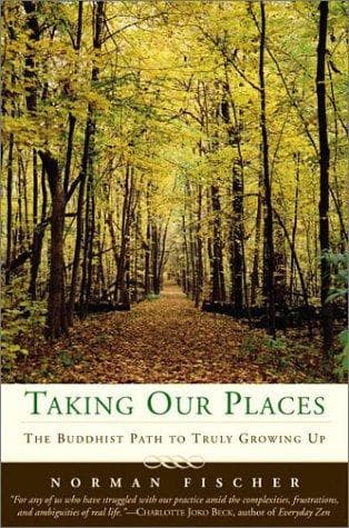 Tapa de Taking Our Places