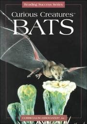 Tapa de Curious Creatures