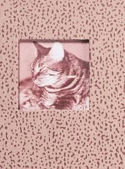 Tapa de Cats Little Scribbles
