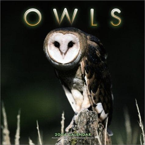 Tapa de Owls 2004 Calendar