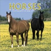 Tapa de Horses Mini 2004 Calendar