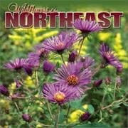 Tapa de Wildflowers of the Northeast 2004 Calendar
