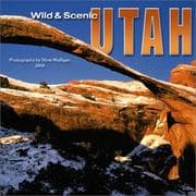Tapa de Wild & Scenic Utah 2004 Calendar