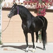 Tapa de Andalusians 2006 Pet Calendar (Horses Wall Calendars)