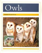 Tapa de Owls (PM Animal Facts: Nocturnal Animals)