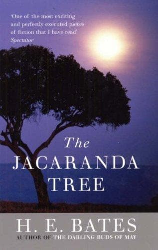Tapa de The Jacaranda Tree