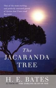 Tapa de The Jacaranda Tree