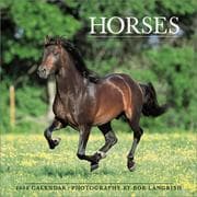 Tapa de Horses 2004 12-month Wall Calendar