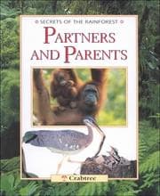 Tapa de Secrets of the Rainforest