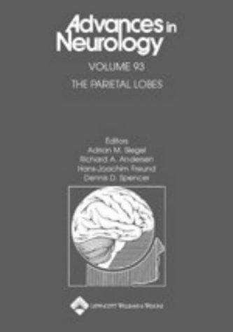 Tapa de The parietal lobes