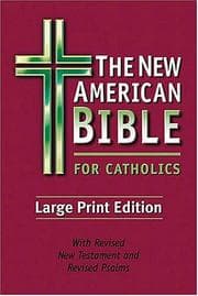 Tapa de New American Bible for Catholics