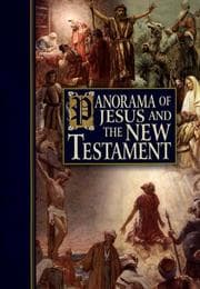 Tapa de Panorama of Jesus and the New Testament