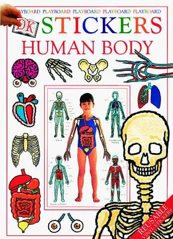 Tapa de Human Body
