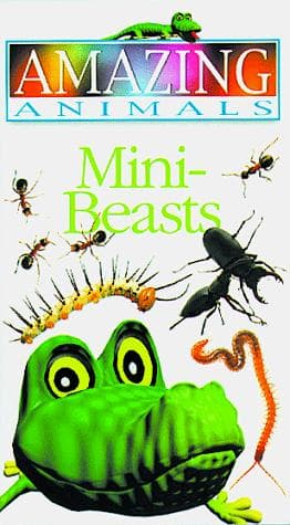Tapa de Mini-Beasts (Amazing Animals)