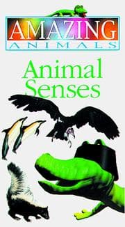 Tapa de Animal Senses (Amazing Animals)