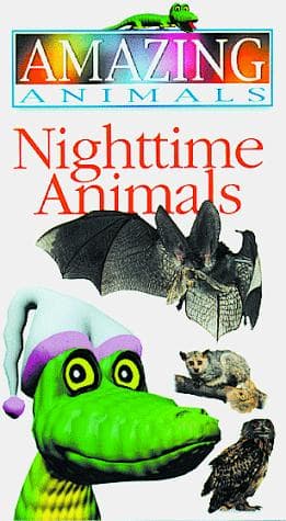 Tapa de Nighttime Animals (Amazing Animals)