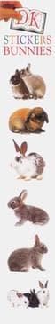Tapa de Bunnies