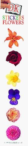 Tapa de Flowers