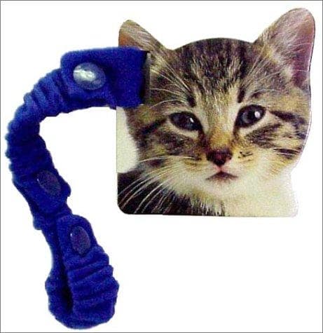 Tapa de Kitten Stroller Book